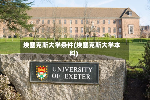 埃塞克斯大学条件(埃塞克斯大学本科)-第2张图片