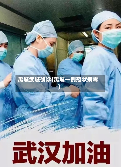 禹城武城确诊(禹城一例冠状病毒)-第2张图片