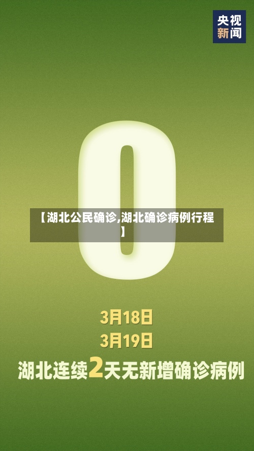 【湖北公民确诊,湖北确诊病例行程】-第2张图片