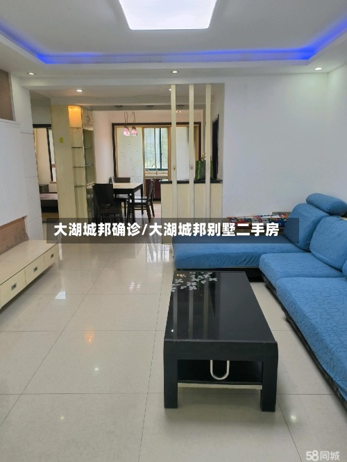 大湖城邦确诊/大湖城邦别墅二手房