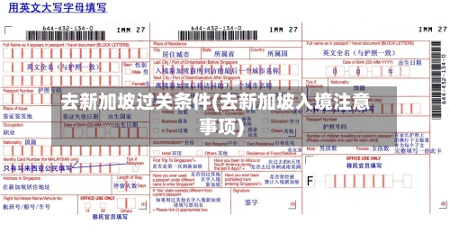 去新加坡过关条件(去新加坡入境注意事项)