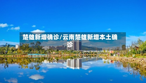 楚雄新增确诊/云南楚雄新增本土确诊-第2张图片