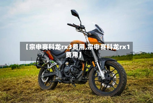 【宗申赛科龙rx3费用,宗申赛科龙rx1费用】