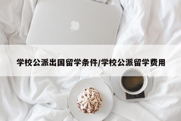 学校公派出国留学条件/学校公派留学费用