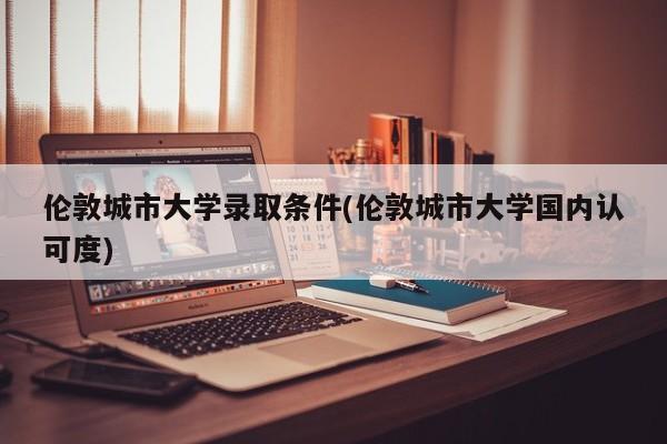 伦敦城市大学录取条件(伦敦城市大学国内认可度)