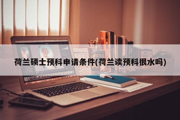 荷兰硕士预科申请条件(荷兰读预科很水吗)